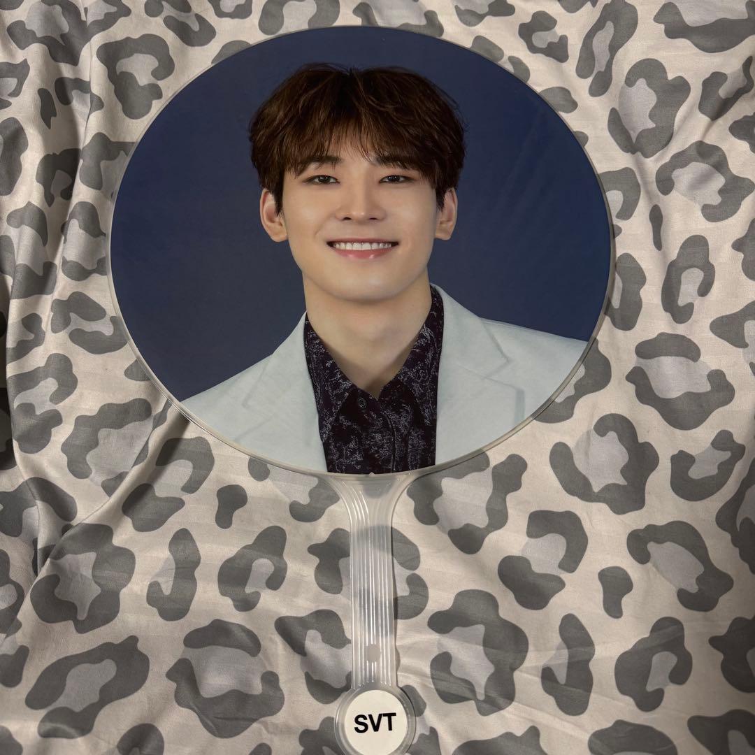 SEVENTEEN セブチ ウォヌ 団扇 うちわ 18本まとめ売り