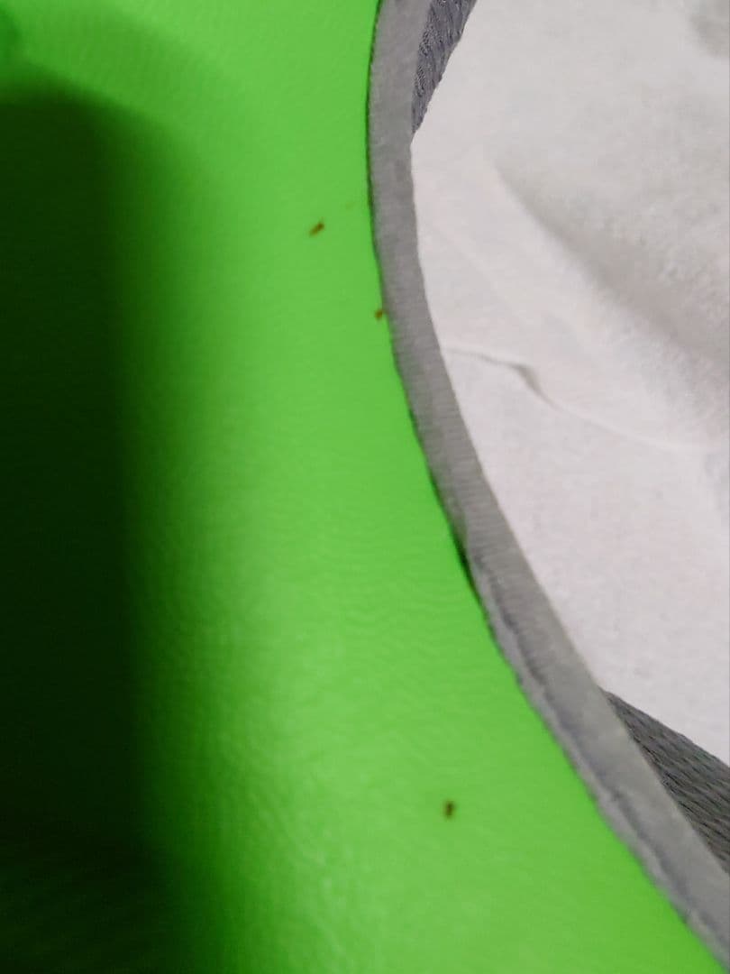 BURTON ION LTD 27.5cm 中古 ※訳あり 左内側に破れあり！