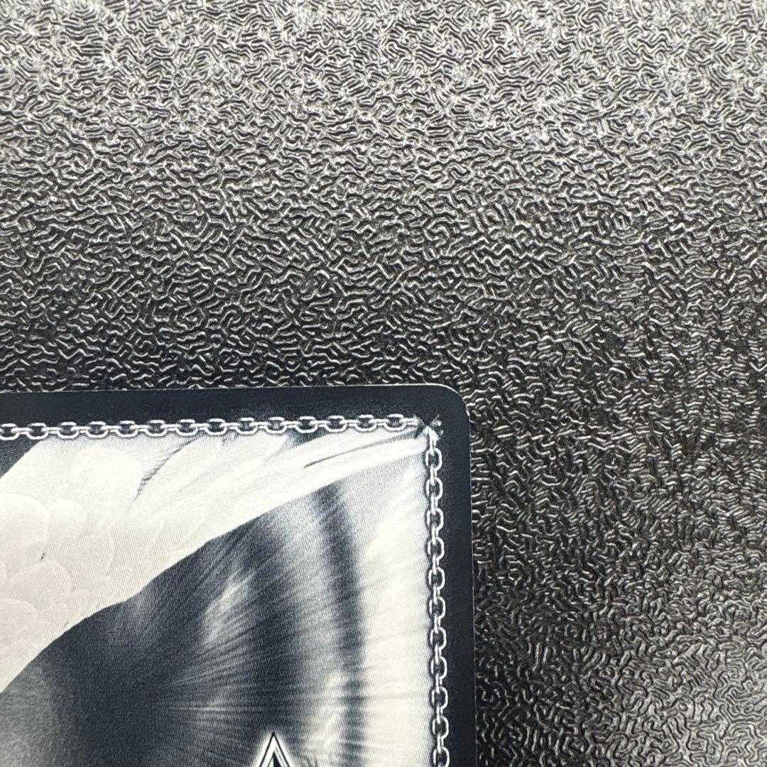 二人で一人　白　ssp