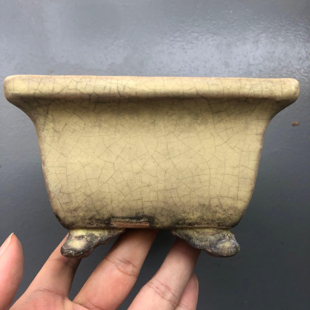 170.周寶山 黄釉雲足長方鉢 盆栽鉢 植木鉢 18*12.5*7.5cm