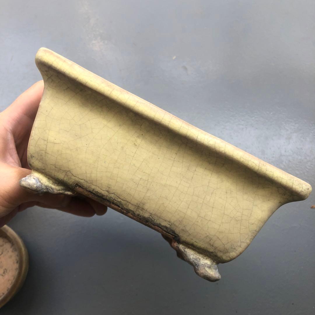 170.周寶山 黄釉雲足長方鉢 盆栽鉢 植木鉢 18*12.5*7.5cm