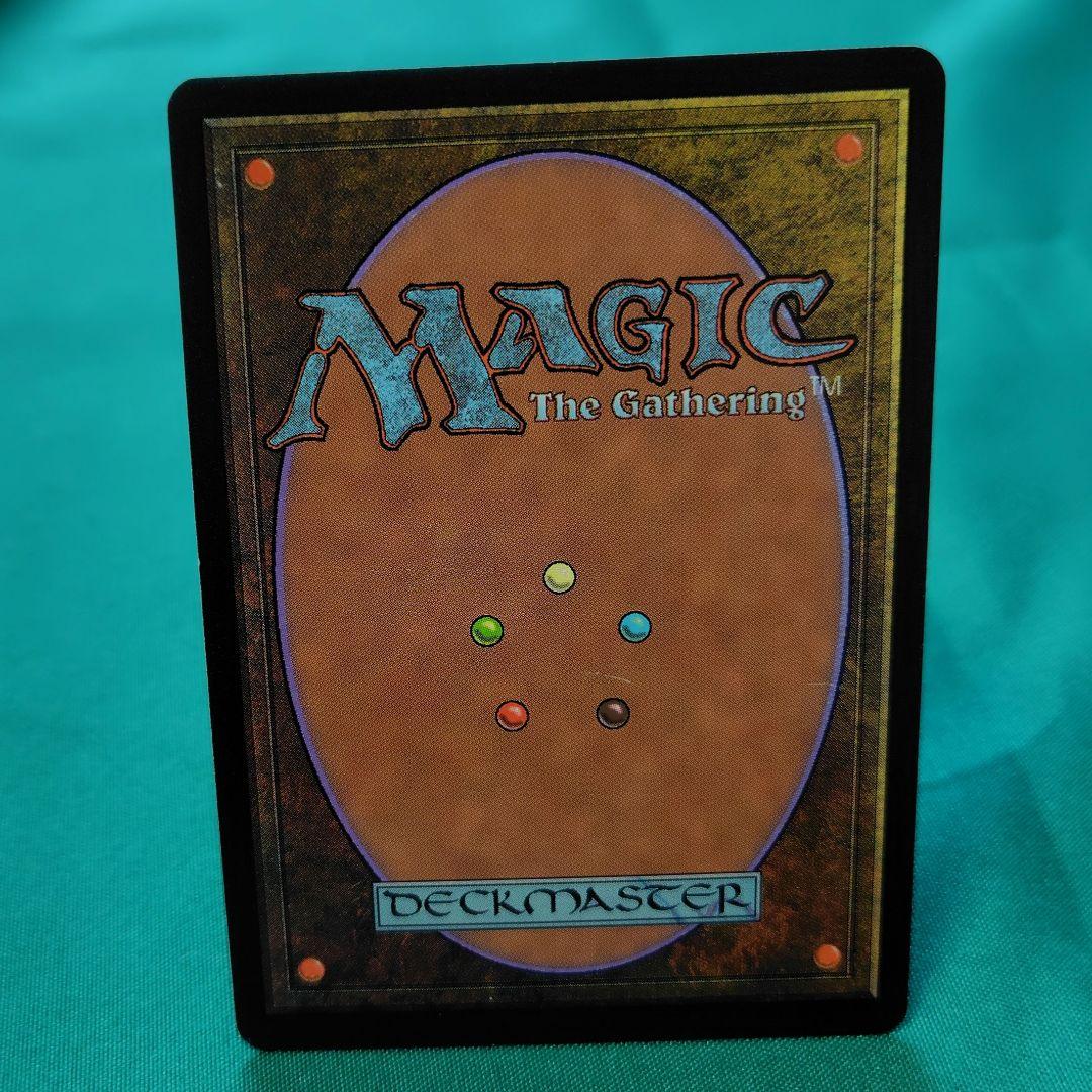 MTG 大地の知識 ２枚セット