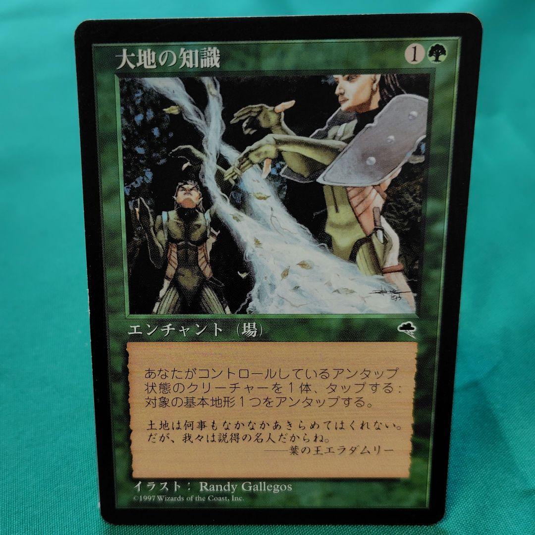MTG 大地の知識 ２枚セット