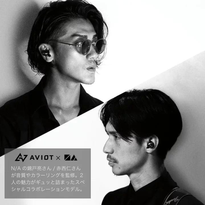 N/AxAVIOT TE -D01gv -na Bluetooth イヤホン