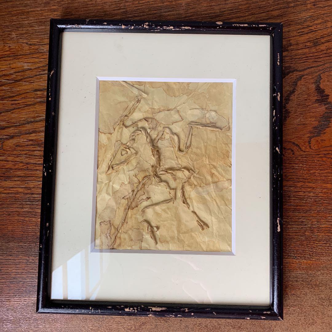 私の作った　ちぎり絵　始祖鳥の化石　木製ビンテージフレーム付き　ジュラ紀 私の作った ちぎり絵 始祖鳥の化石 木製ビンテージフレーム付き ジュラ紀