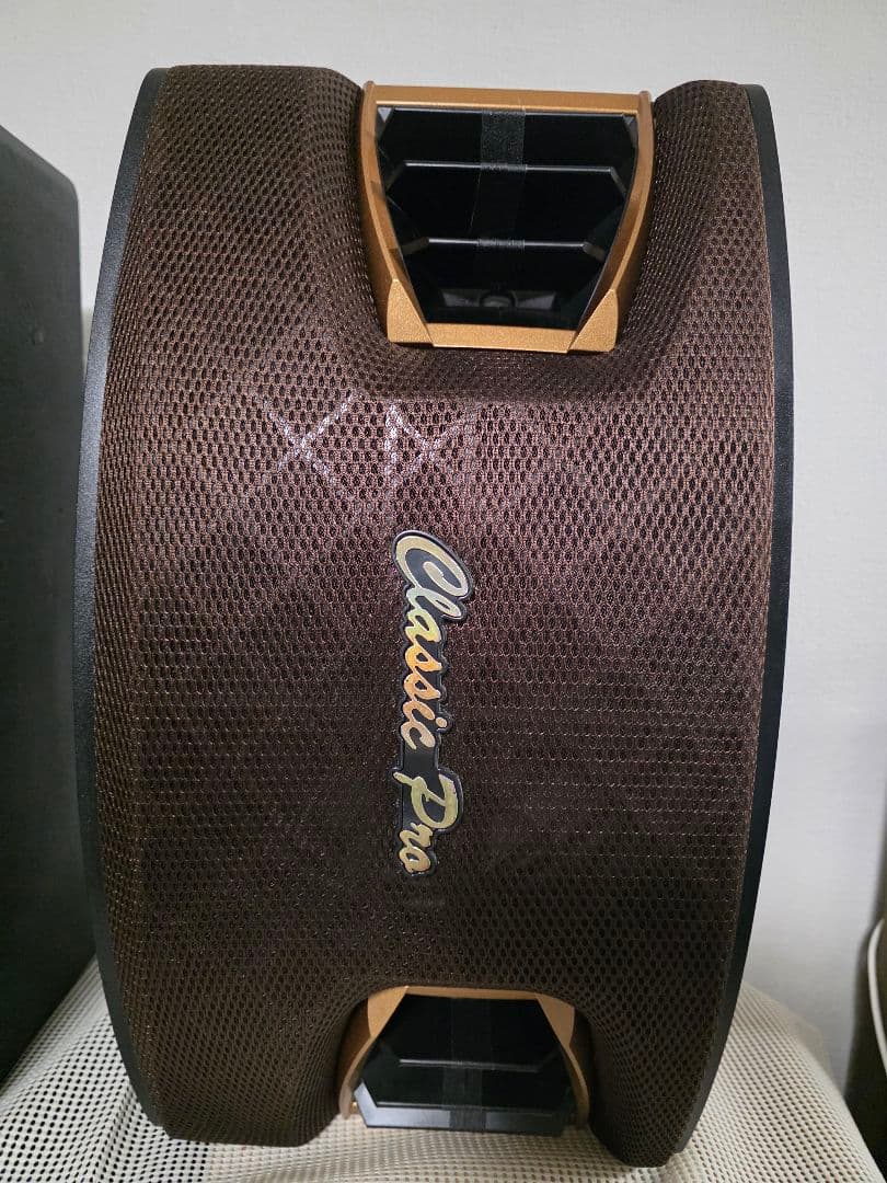 Karaoke スピーカーCLASSIC PRO KT200BR ペア