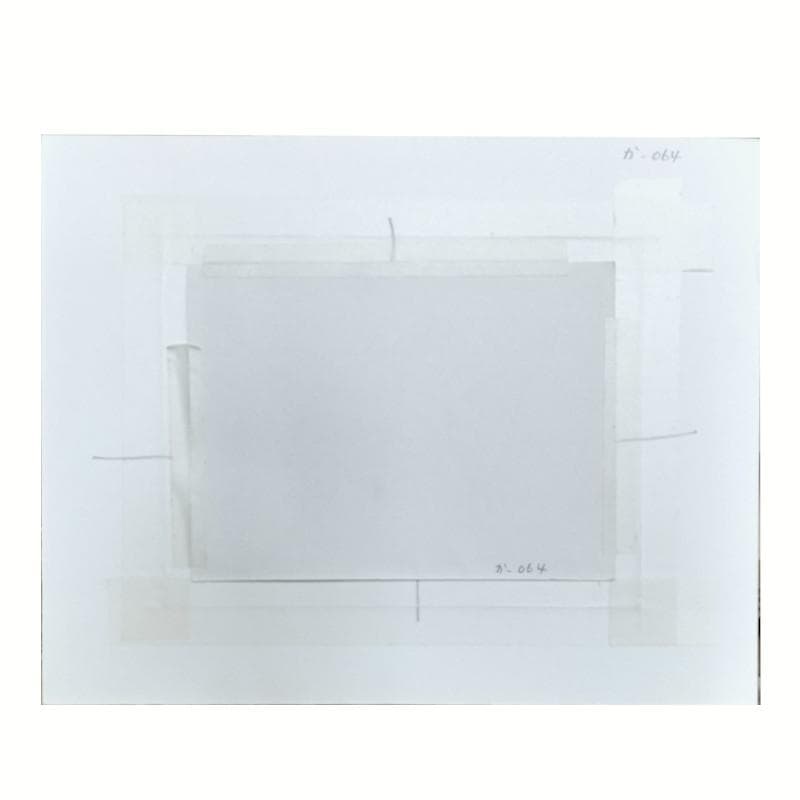 ☆坂本直行☆「 カンアオイ」筆書き　インチサイズ　未使用！