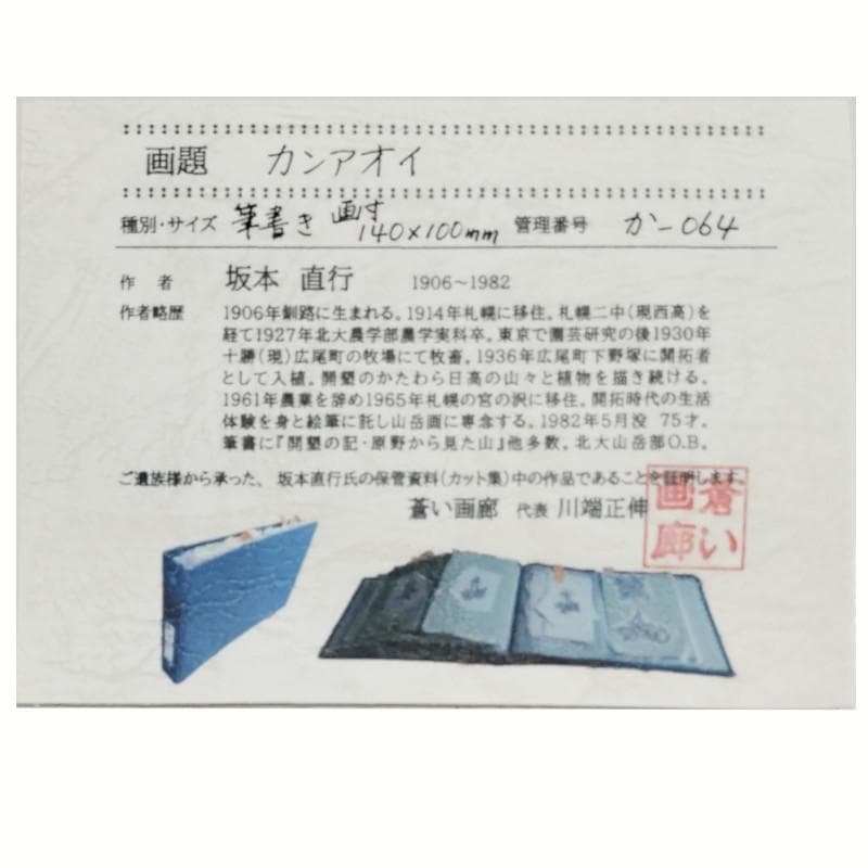 ☆坂本直行☆「 カンアオイ」筆書き　インチサイズ　未使用！