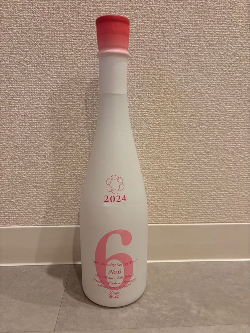 新政 No.6 X-type 2024 - メルカリ