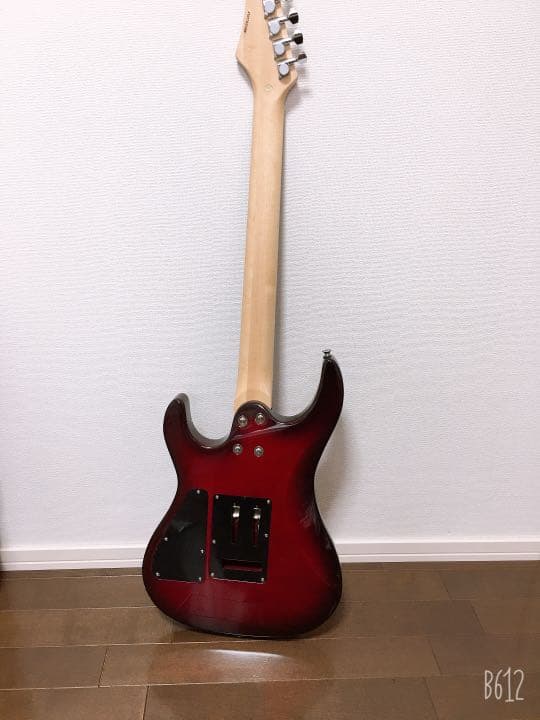 AriaProllエレキギター、カバー、アンプ、ピック、手入れ道具、シールド、本