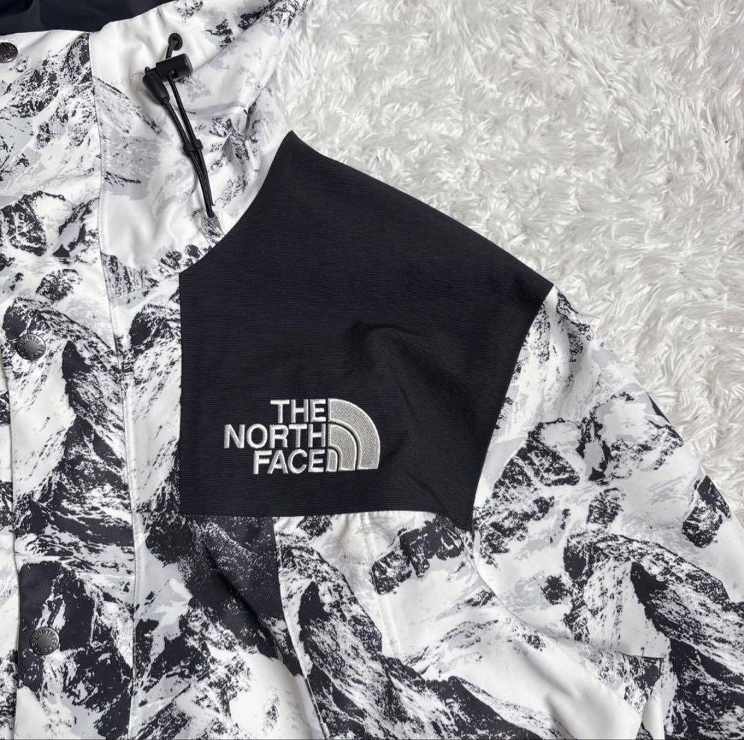 美品】ザノースフェイス マウンテンパーカー NJ2GN60B ゴアテックス M