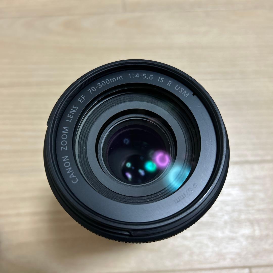 Canon EF 70-300mm f/4-5.6 ISII USM 望遠レンズ