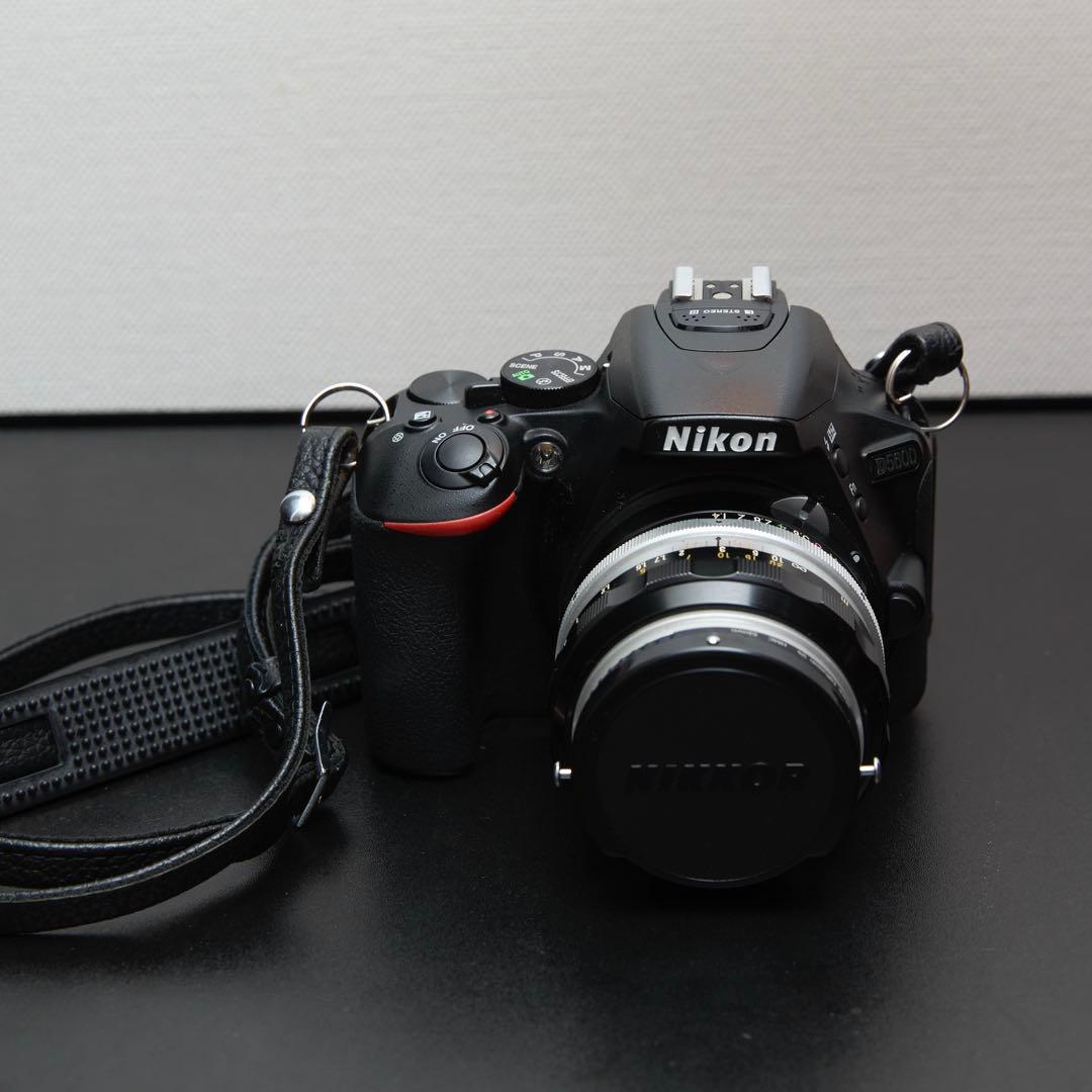 値下!【美品】Nikon D5600 標準レンズ/望遠レンズ/オールドレンズ