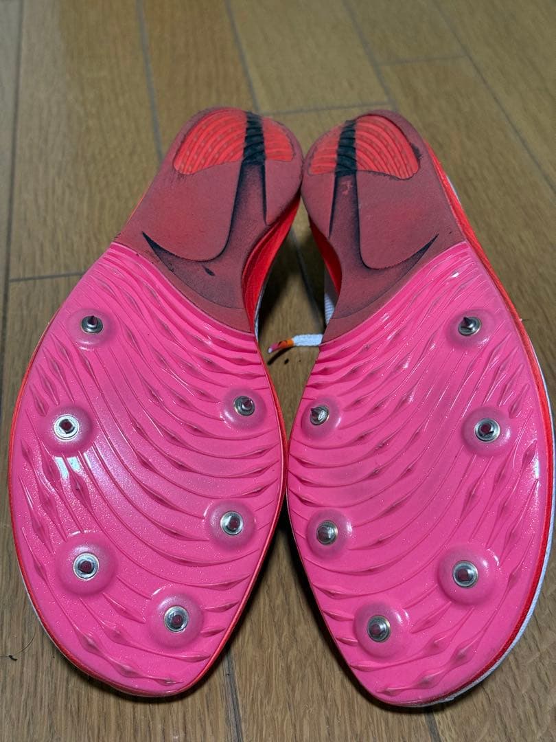 Nike ドラゴンフライ　25.5cm