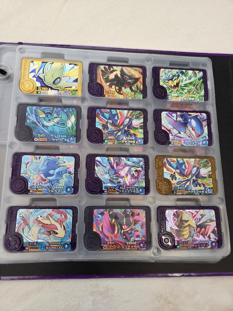 ポケモンフレンダ引退品