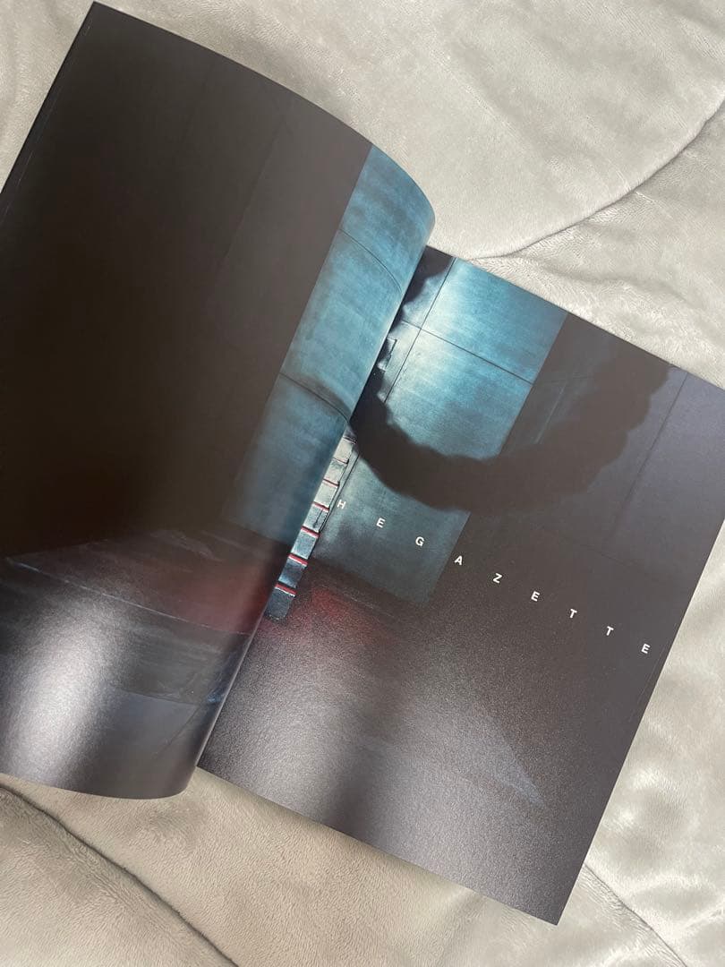 the GazettE PAMPHLET THIRTEEN パンフレット