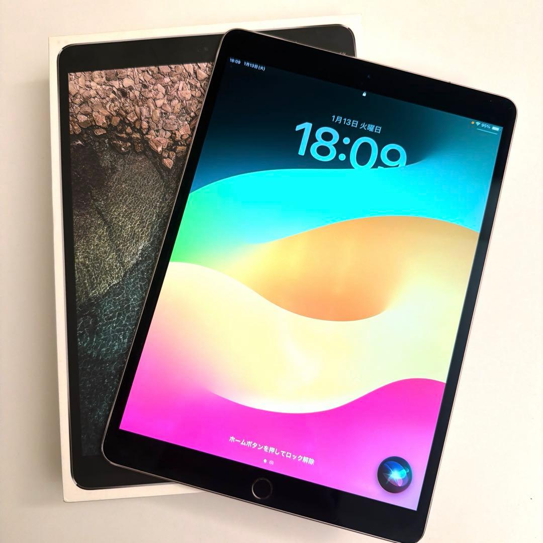 iPad Pro 10.5インチ 64GB Wi-Fiモデル MQDT2J/A iPad Pro 10.5インチ Retinaディスプレイ Wi-Fiモデル MQDT2J/A （64GB