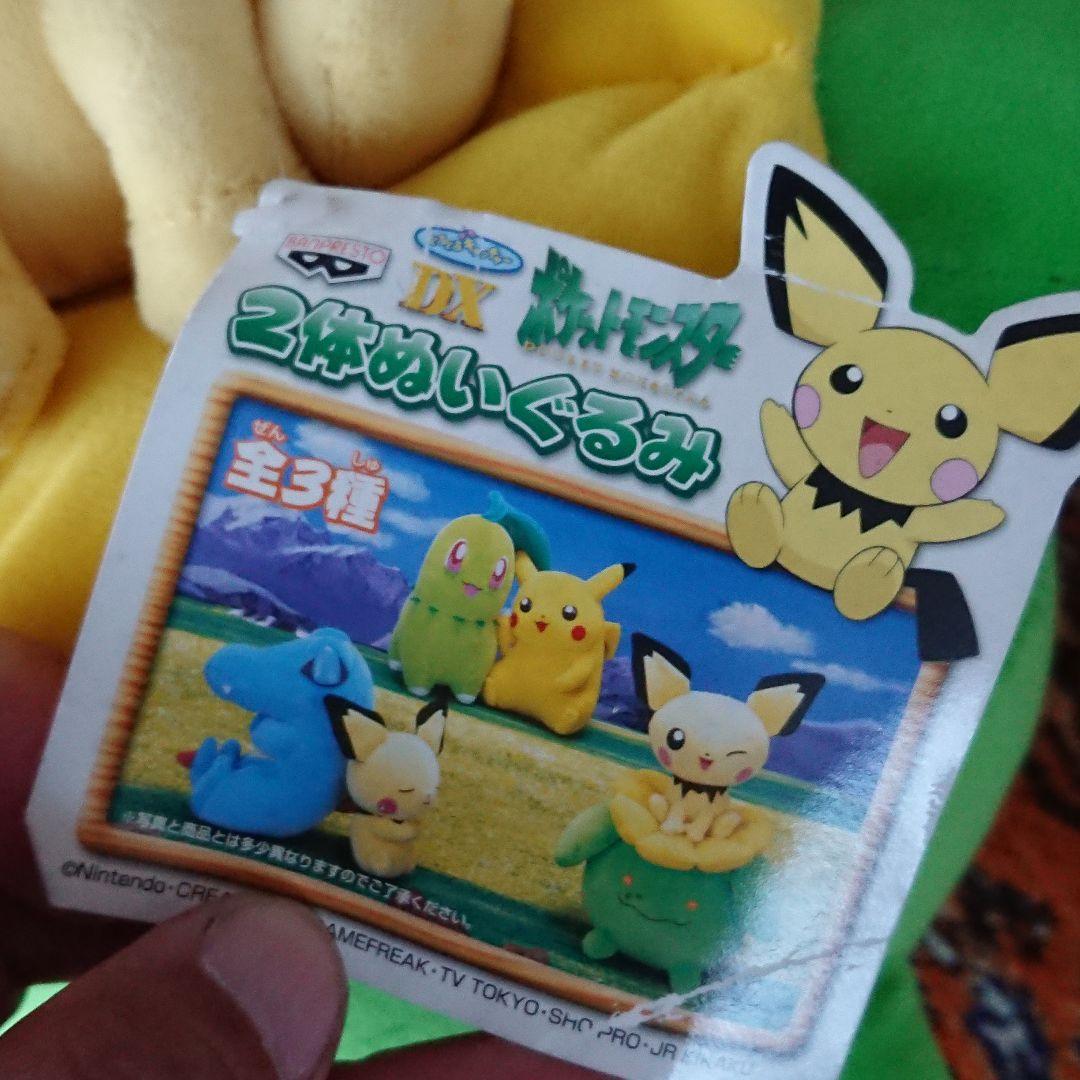 ゲームセンター限定非売品・新品・ポケモン「ＤＸ・２体ぬいぐるみ」