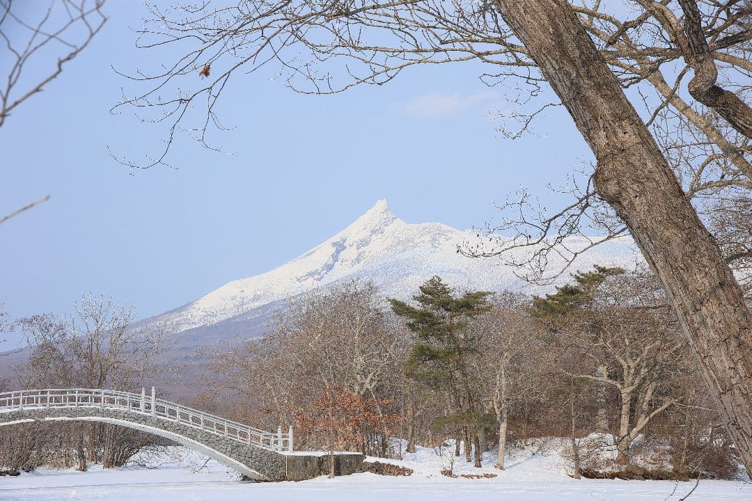 TAMRON AF 28-300mm F3.5-6.3 LD（EFマウント）