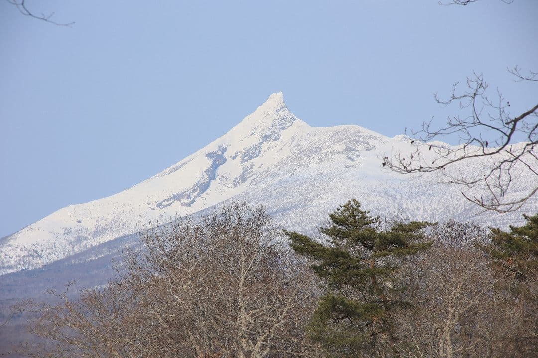 TAMRON AF 28-300mm F3.5-6.3 LD（EFマウント）