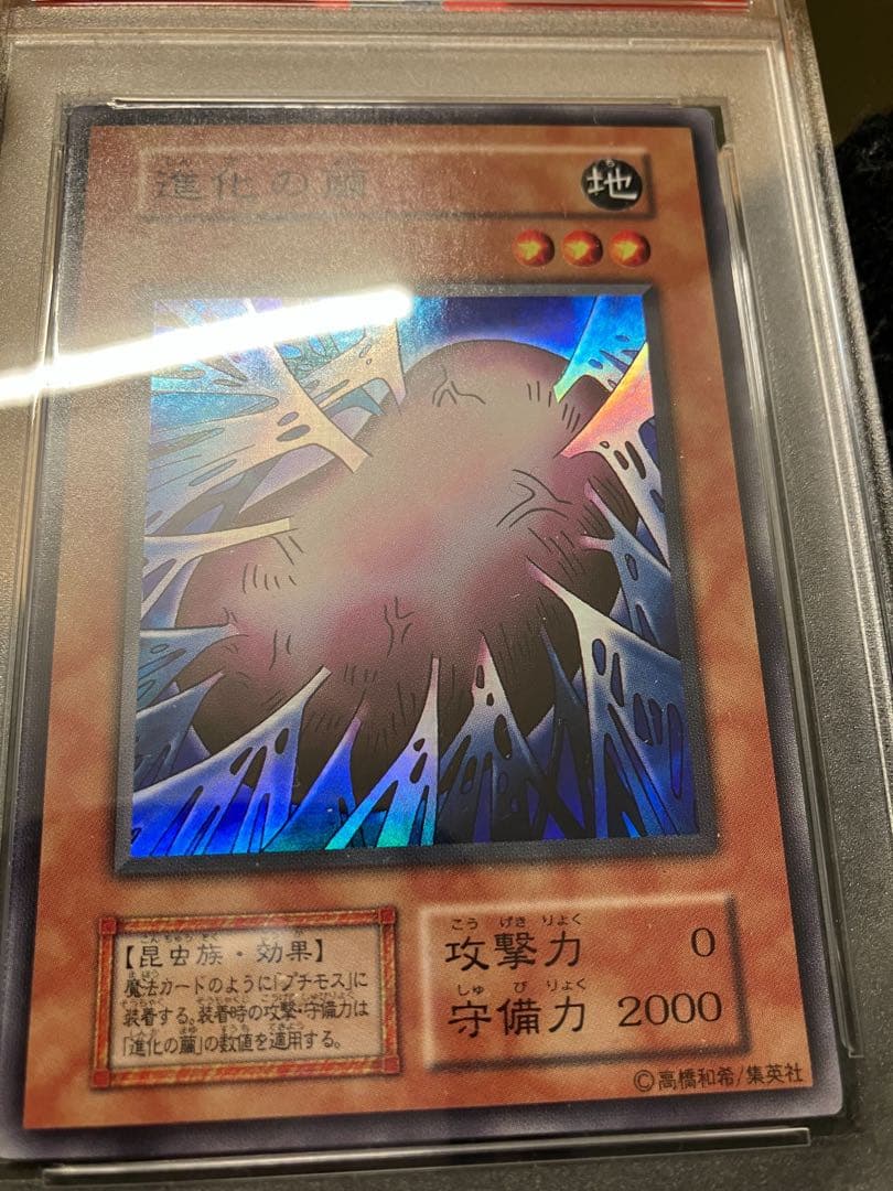 進化の繭　遊戯王　初期　PSA10