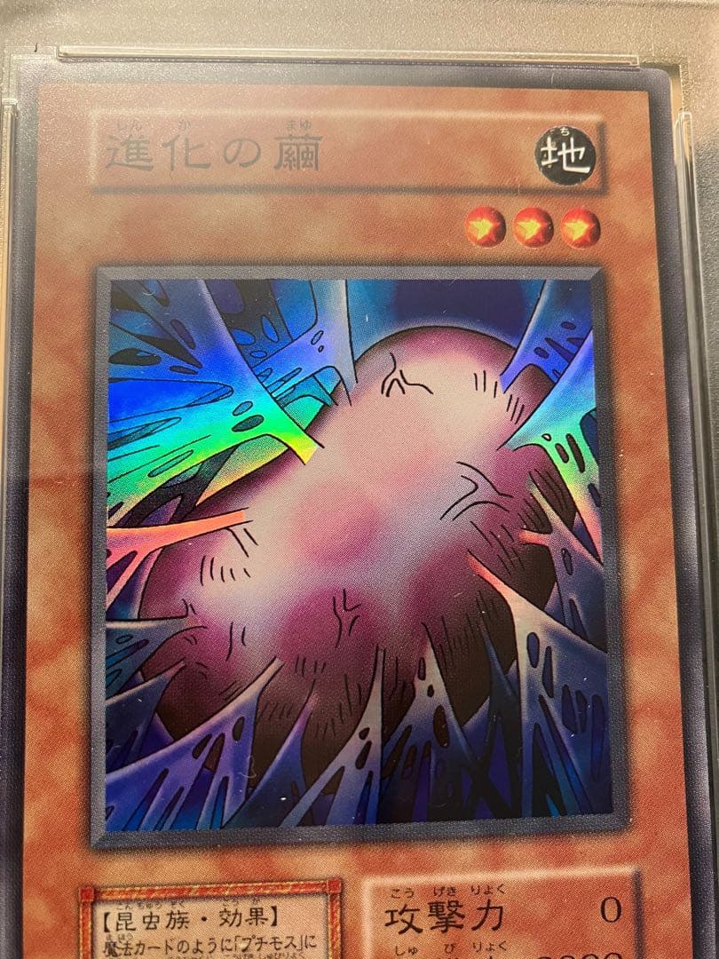 進化の繭　遊戯王　初期　PSA10