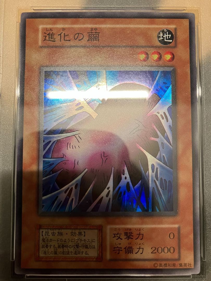 進化の繭　遊戯王　初期　PSA10