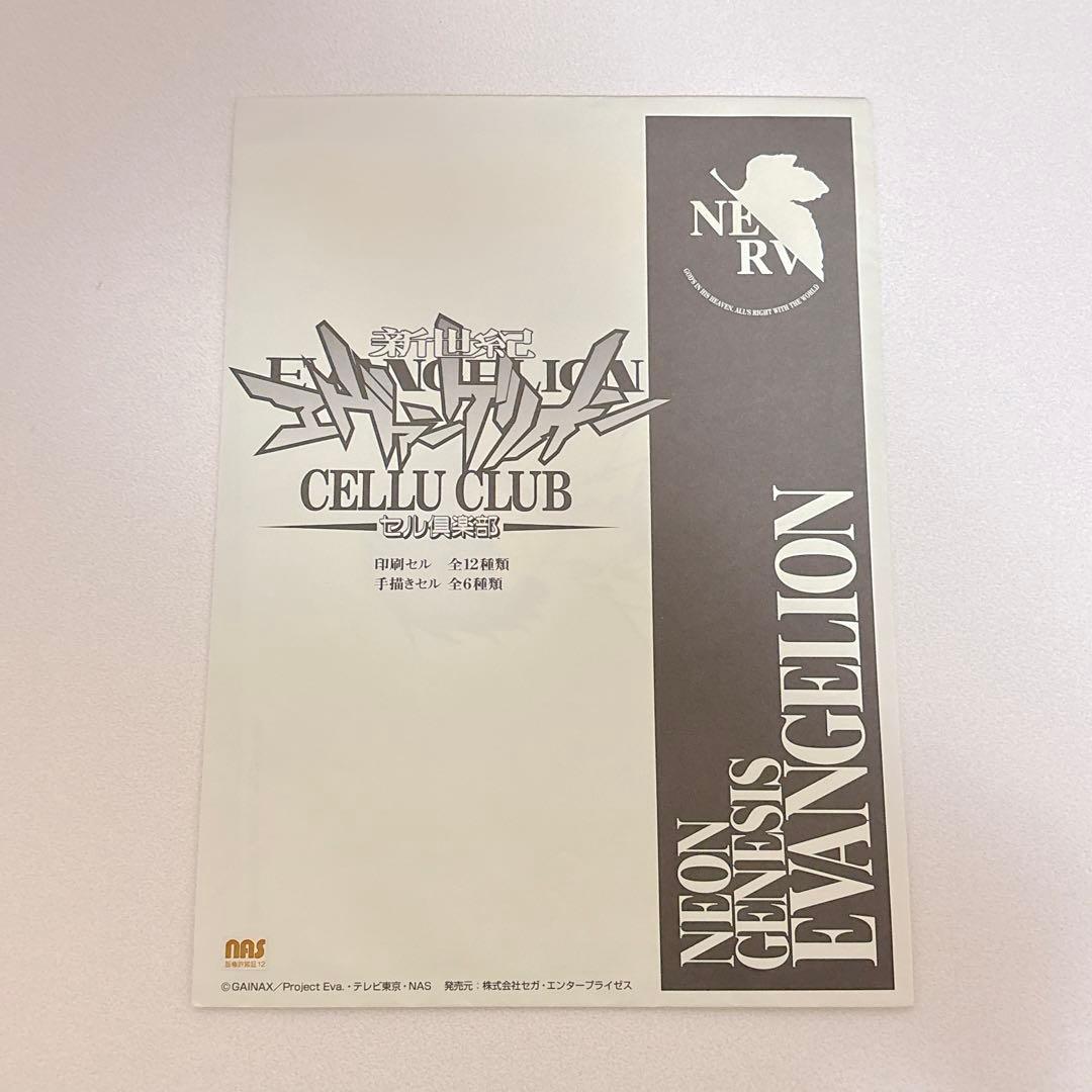 エヴァンゲリオン 限定 手描きセル画 渚カヲル
