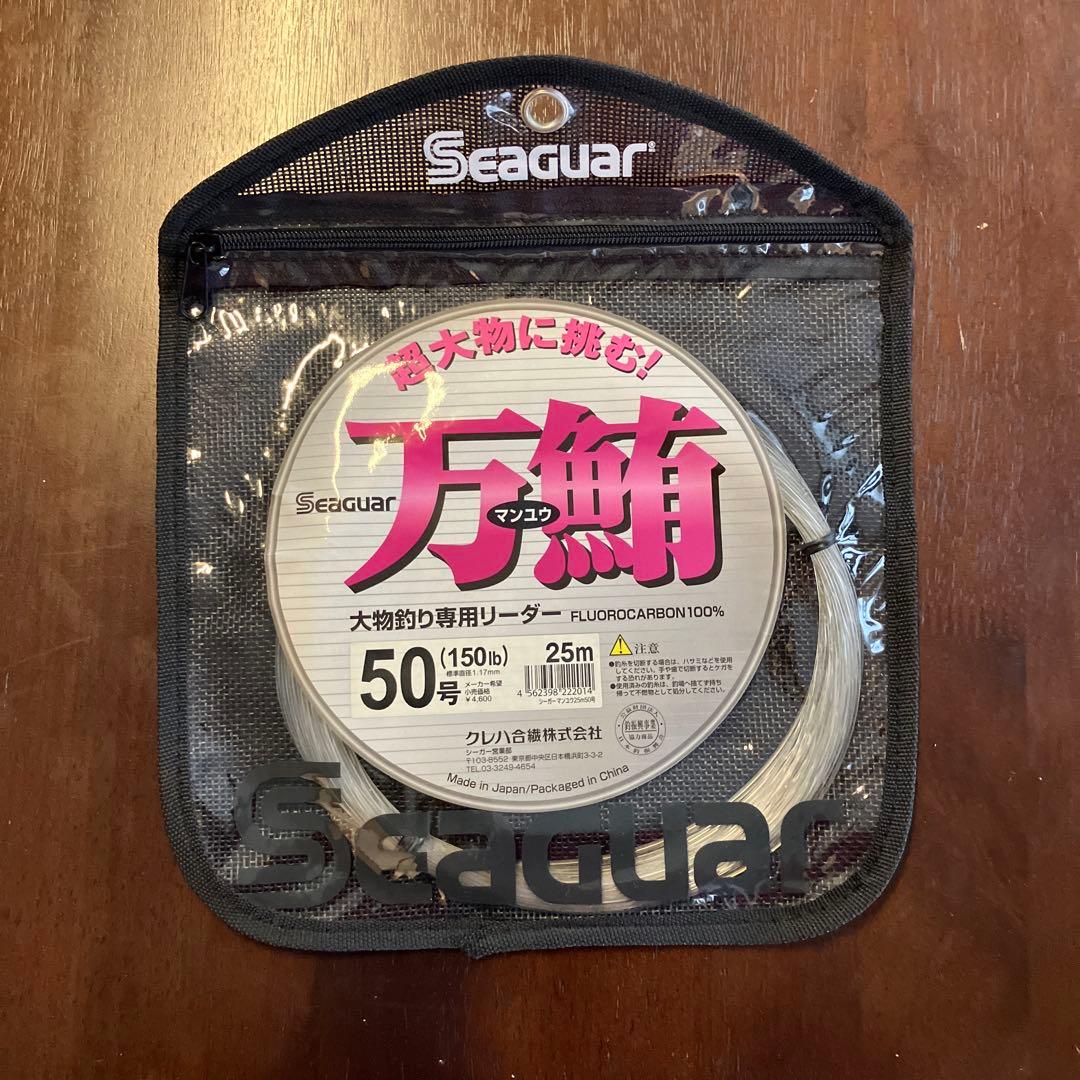セール特価】【新品】Seaguar万鮪 大物釣り専用リーダー 50号 - メルカリ