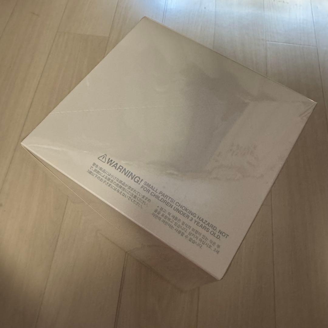 Big into Energy ラブブ ぬいぐるみ　1BOXアソート　正規品