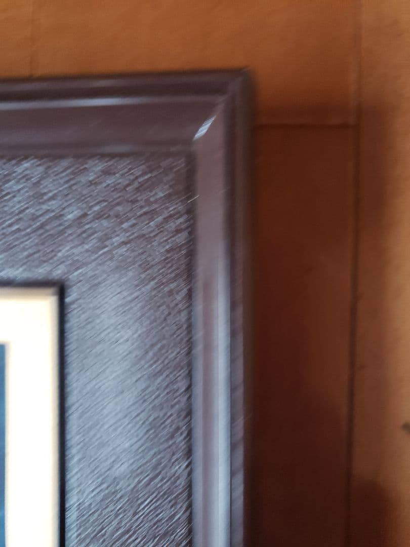 文化刺繍　松鳩文化刺繍　完成品　額付き　高級文化刺繍　絵画　ハンドメイド　箱あり