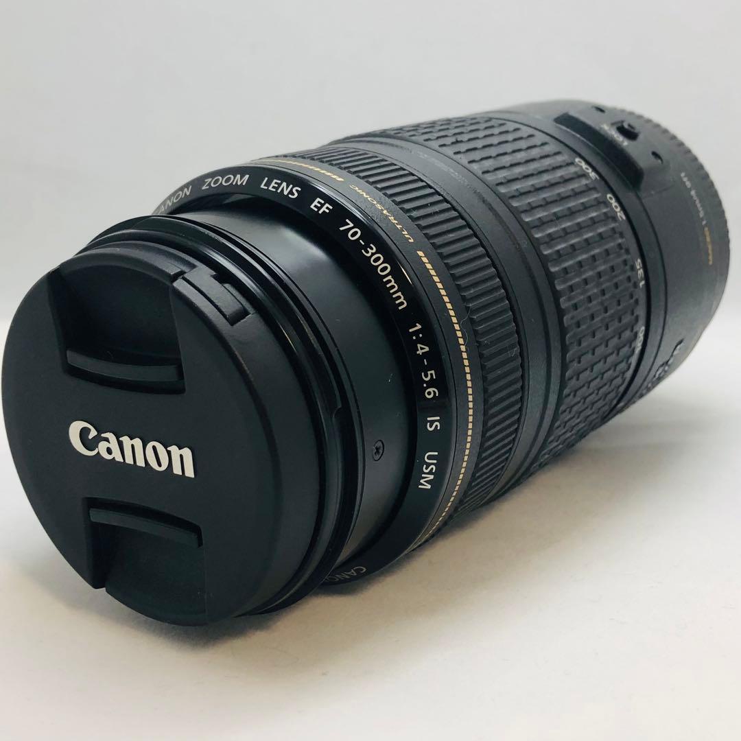 キャノンCanon EF70-300mm F4-5.6 IS USM EF70-300mm F4-5.6L IS USM - キヤノンカメラミュージアム