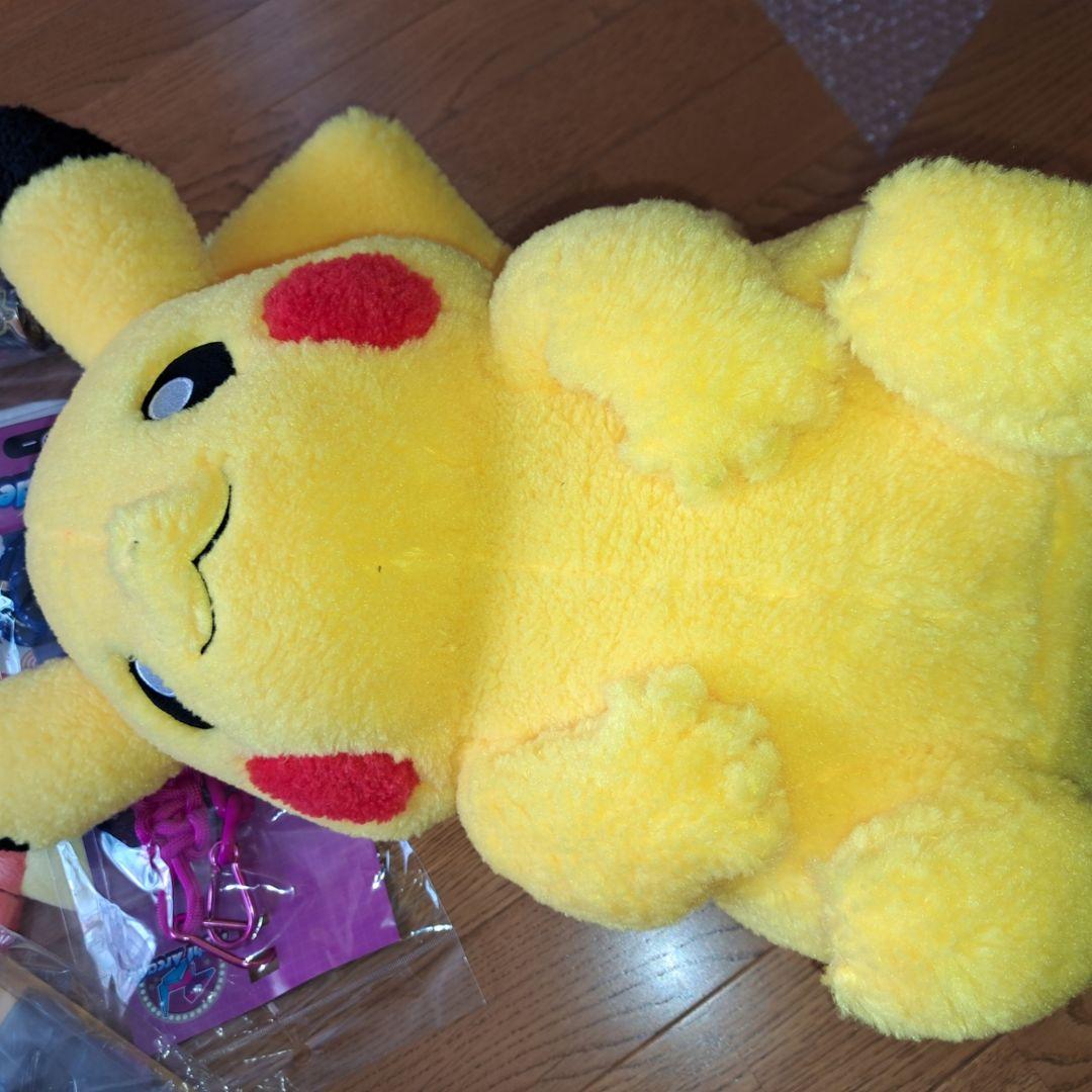 ピカピカボックス 2026 ポケモンセンターオンライン 開封済み 抜き取り