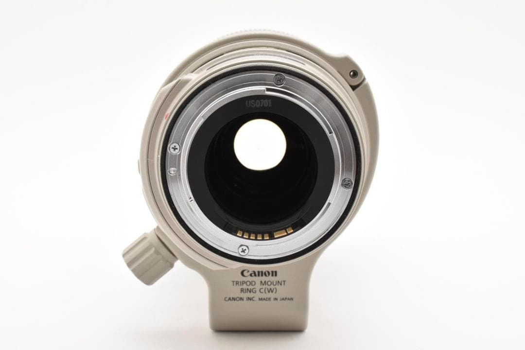 Canon EF 28-300mm F/3.5-5.6 L IS USM 現状