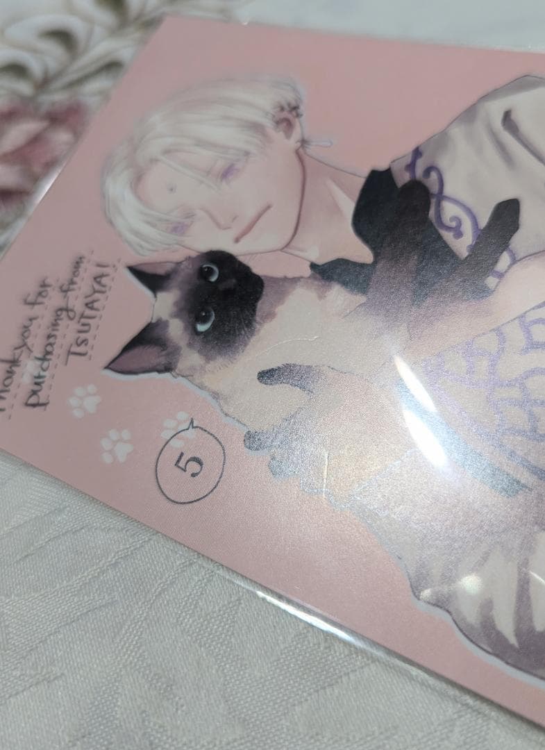 夜明けの唄セット アニメイトとらのあな小冊子 アクスタ アクキー イラストカード