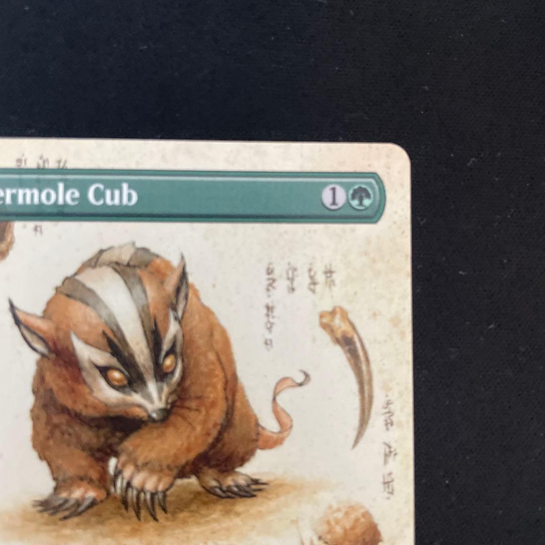 MTG アナグマモグラの子 英語 ボーダレス Badgermole Cub - メルカリ