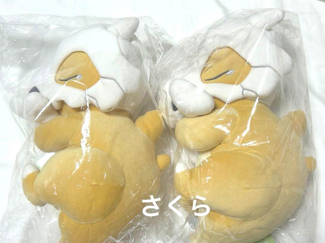 ポケモンセンター　ポケモンスリープ　おやすみカラカラ　2個セット