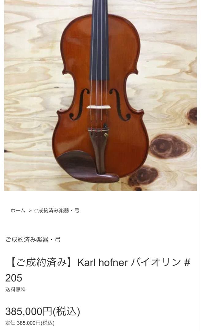 Tのセレクトしショップ様専用 カールヘフナー バイオリン、ケース 、弓