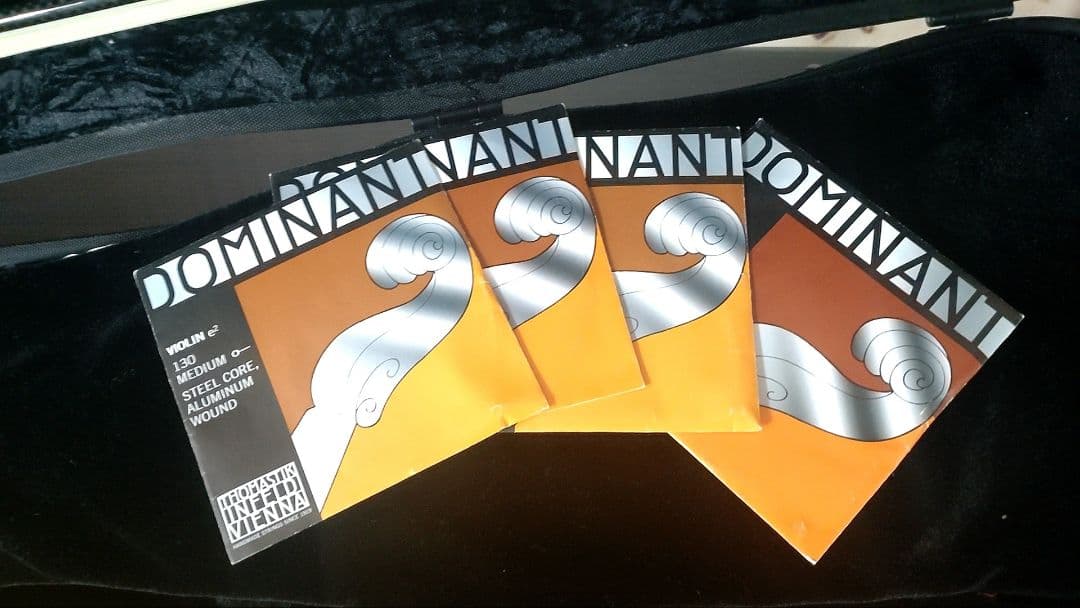 週末限定値下げ ルーマニア製 GLIGA GamaⅡ バイオリン 4/4 - メルカリ