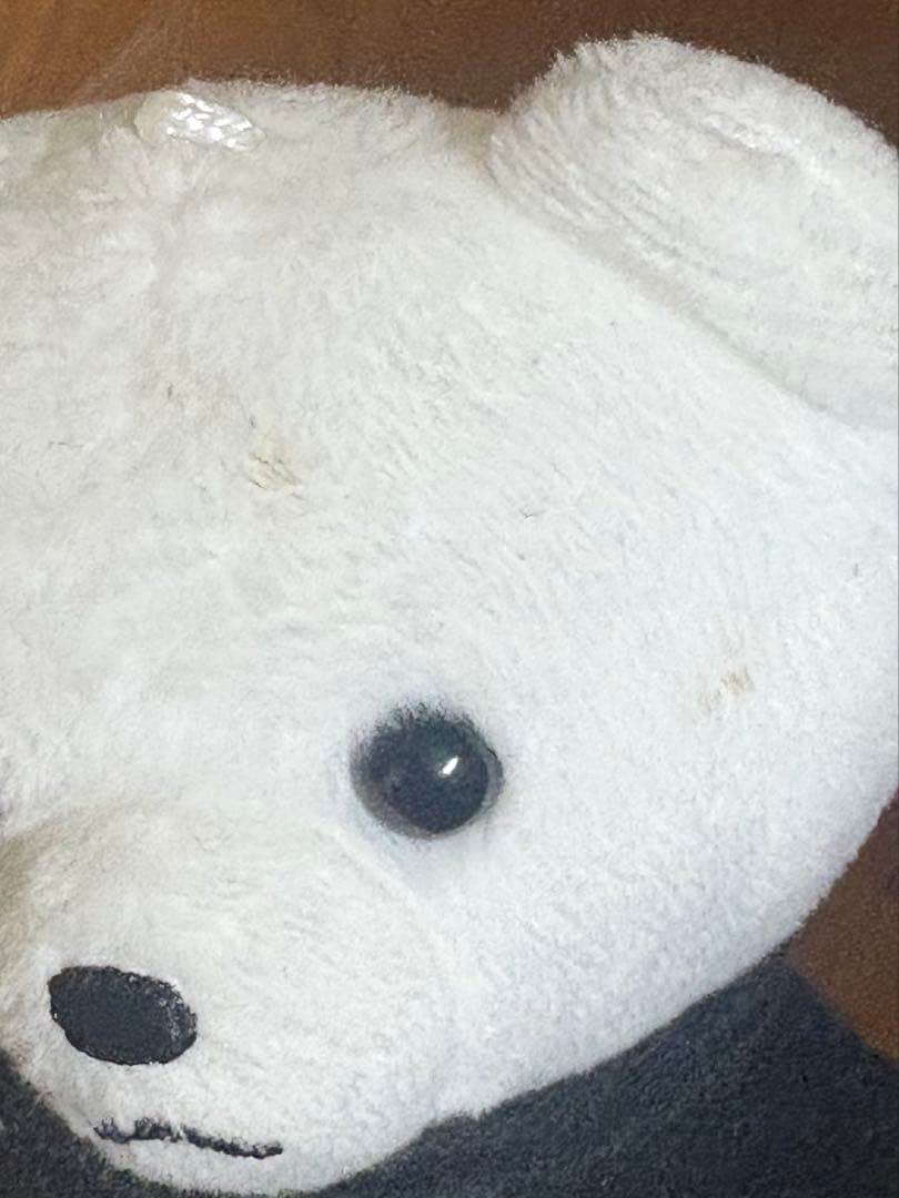 BEFIRST SOTAクマセット