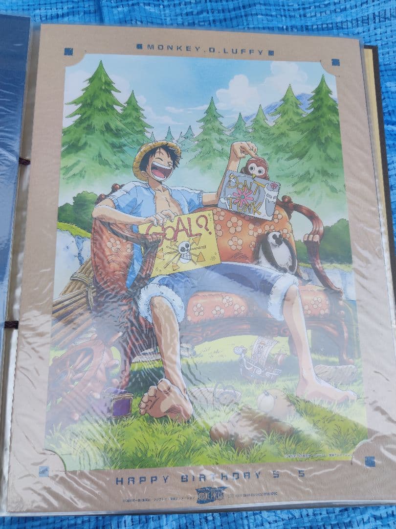 ONEPICE ワンピース ルフィ ポートレート BIRTHDAY 誕生日 ルフィの誕生日をお祝い！ 5月5日だけの限定CM（ワンピース×menuコラボ