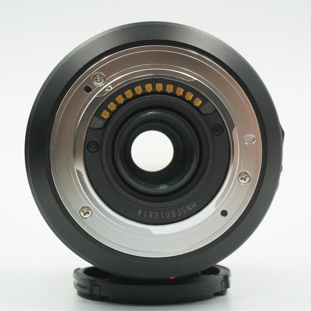 レンズ(ズーム) Panasonic G VARIO 14-140mm F3.5-5.6