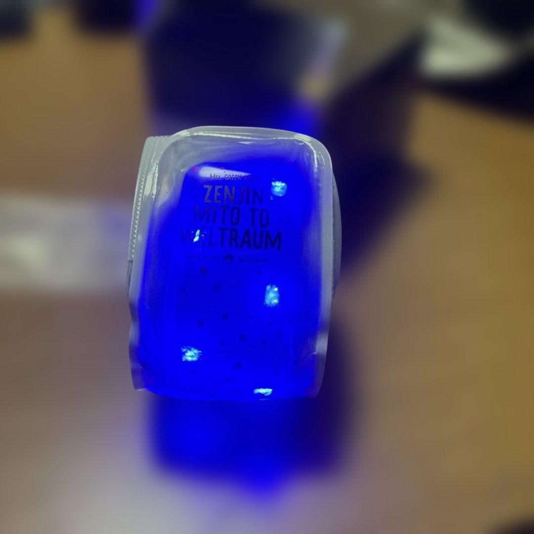 【12/16まで！】メルカリ祭特価値引きLight Bandミセスピンバッチ付き