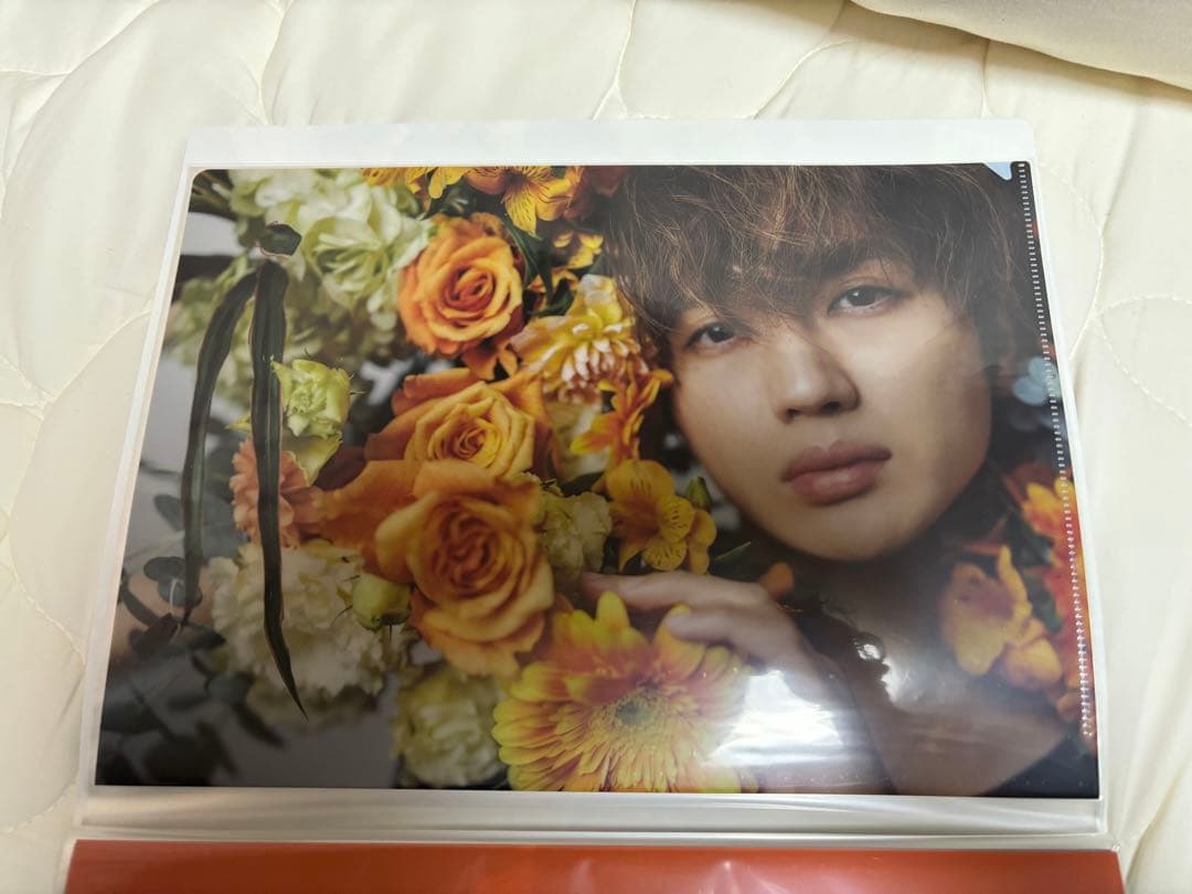 Nissy クリアファイルまとめ売り