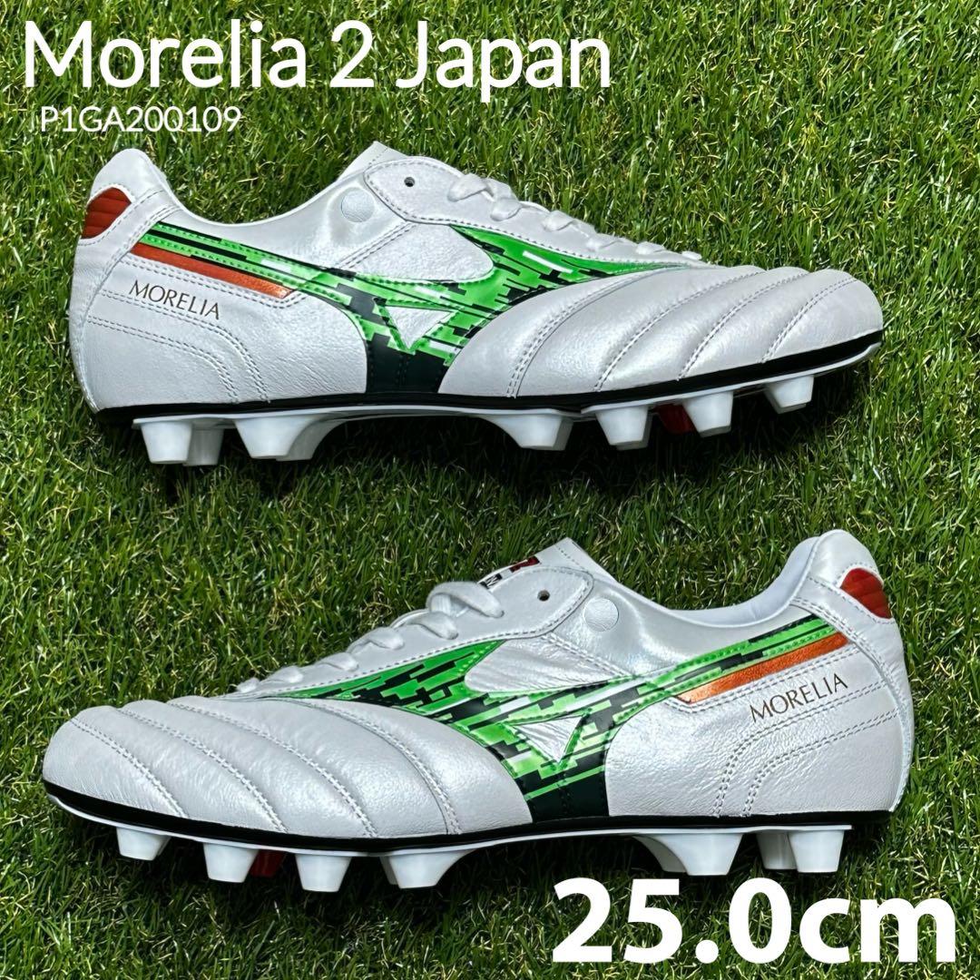 麻婆豆腐 様 ミズノ　モレリア2ジャパン　25.0cm　ペイントカスタムモデル