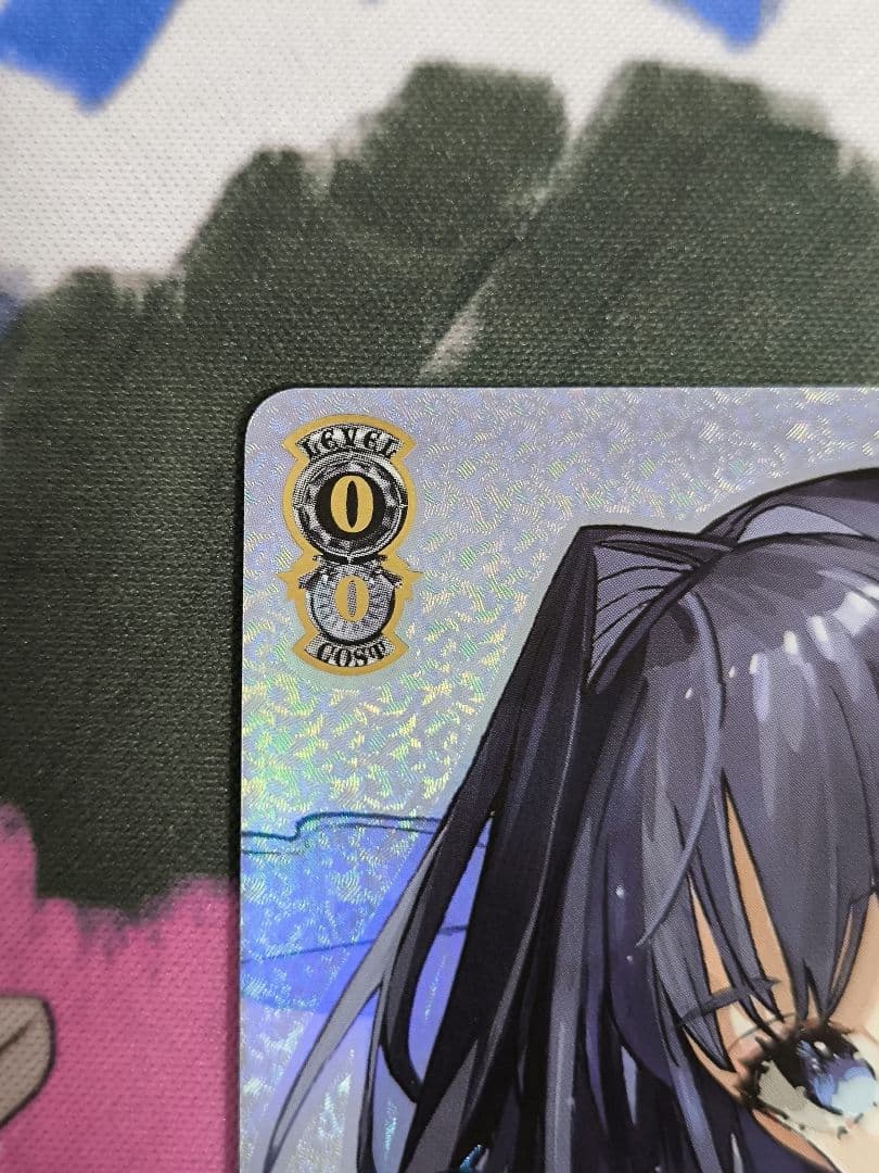 ヴァイス 枕を並べ合って オーロ・クロニー SSP サイン