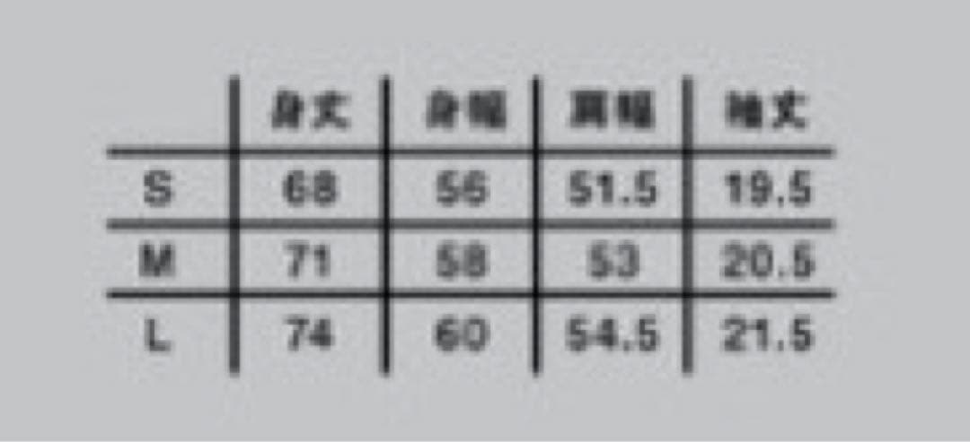 コーネリアス 30th 会場限定 Tシャツ M Cornelius