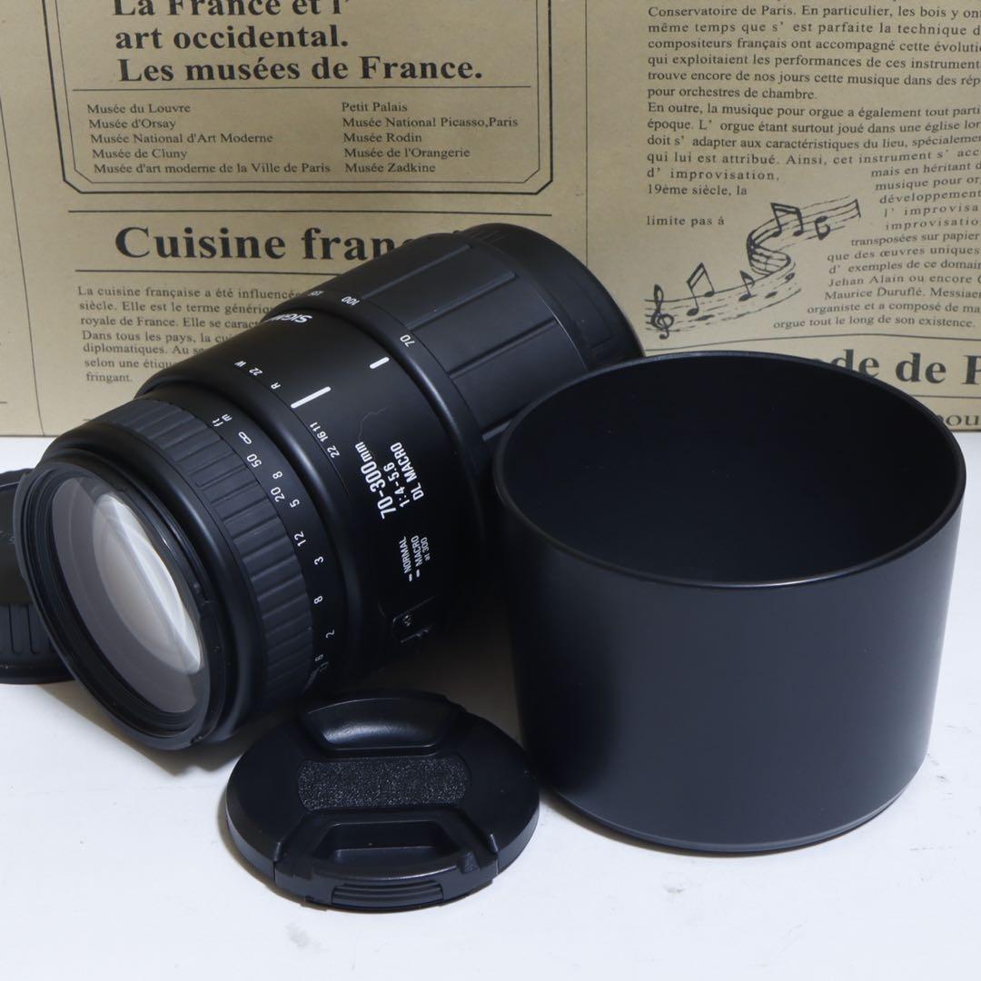 ◇大迫力300mm超望遠◇ Sigma 70-300 for Canon