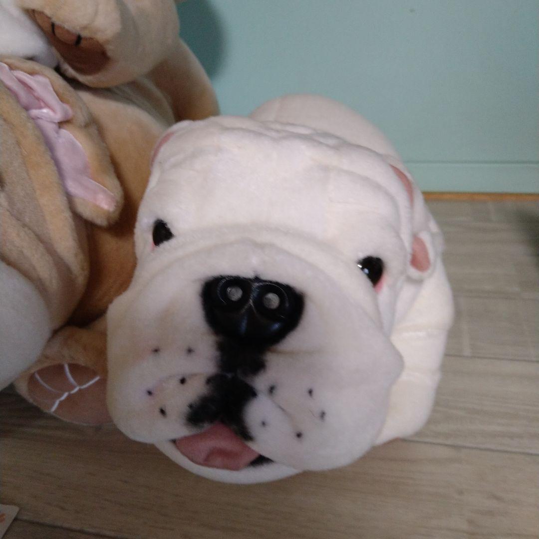 ブルドッグぬいぐるみ 大きめ