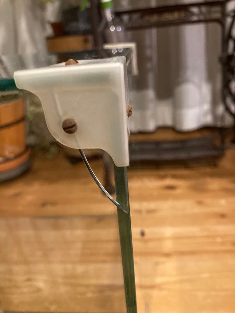 昭和レトロガラスショーケース中棚1段やまさ製茶背面引戸